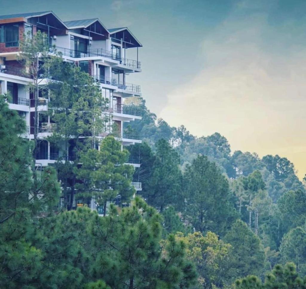 Appartement Mountain Height Kasauli Extérieur photo